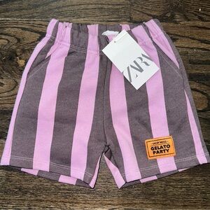 Zara Purple and Brown STRIPED Shorts HTF/HSA!